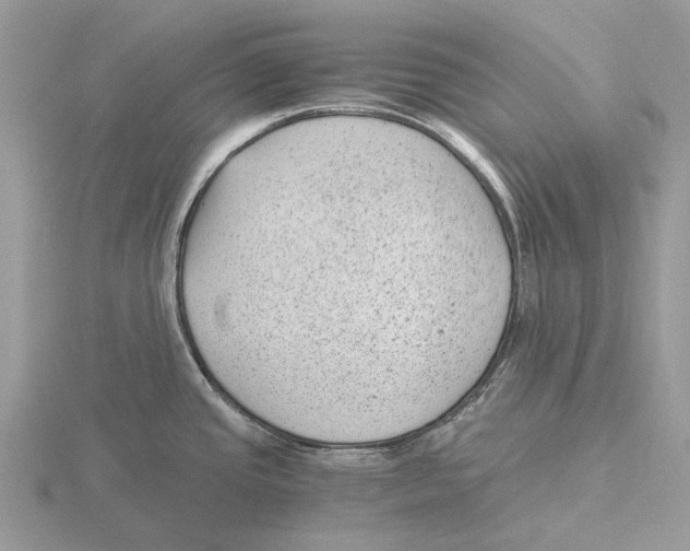 X0000115681437200912101124