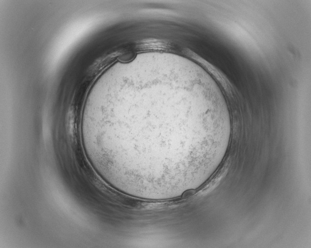 X0000115681438200912101124