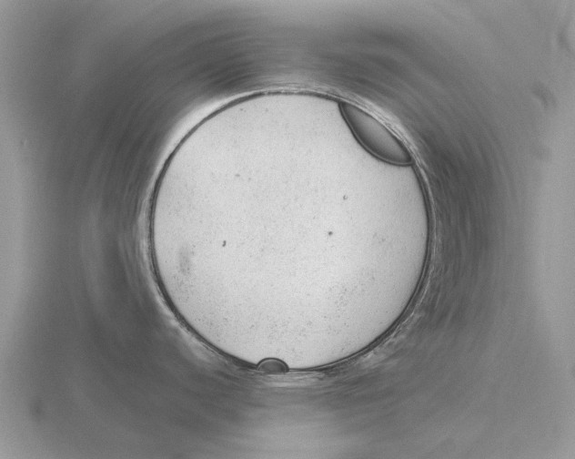 X0000115681440200912101124