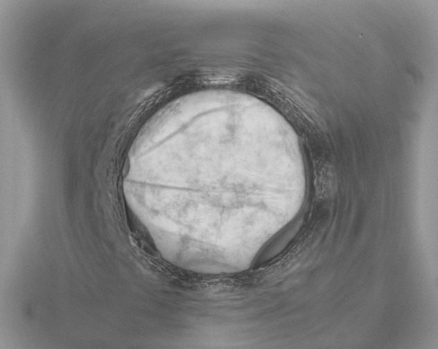 X0000115681441200912101124