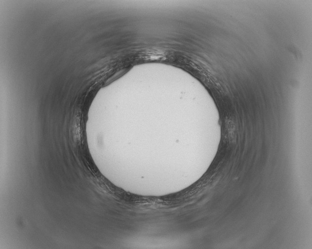 X0000115681442200912101124