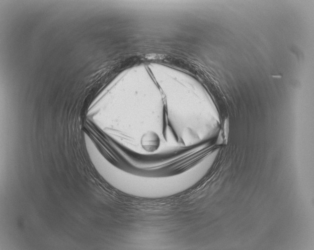 X0000115681443200912101123