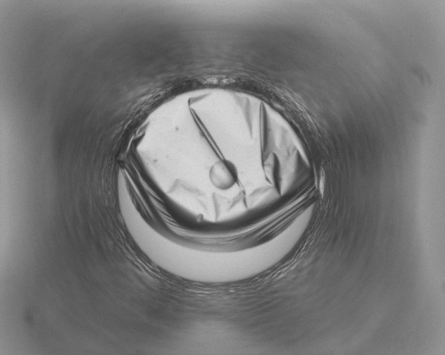 X0000115681444200912101123