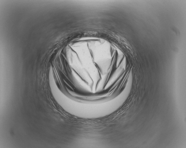 X0000115681445200912101123