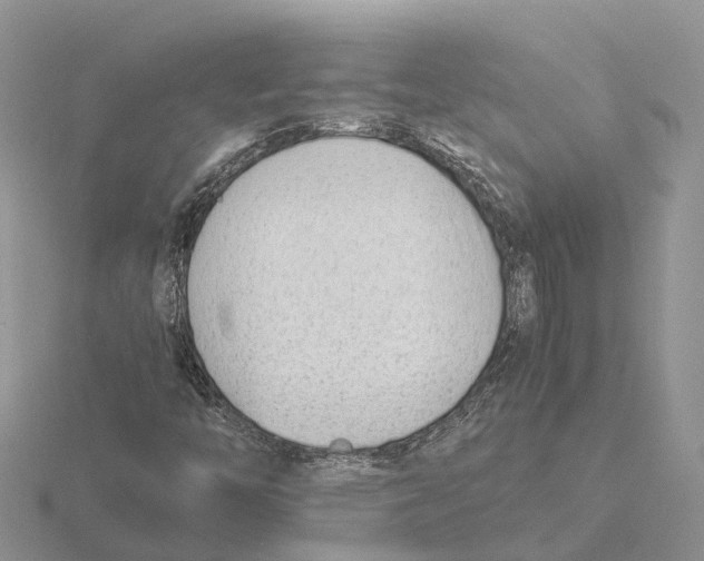 X0000115681446200912101123