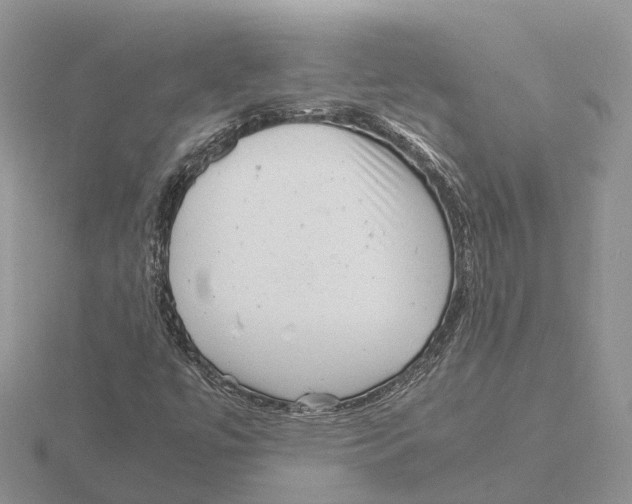 X0000115681447200912101123