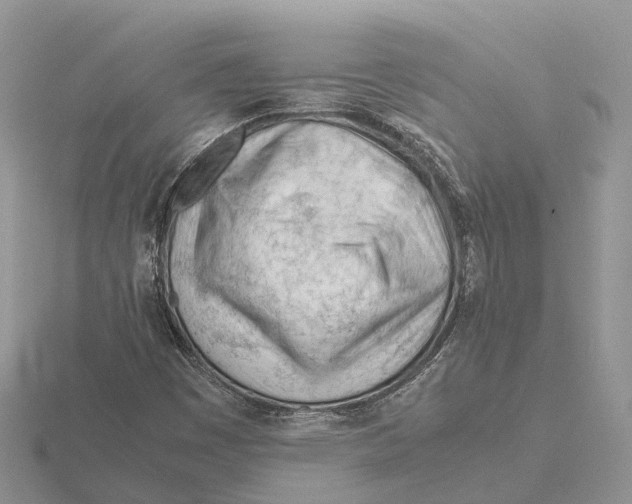 X0000115681449200912101123