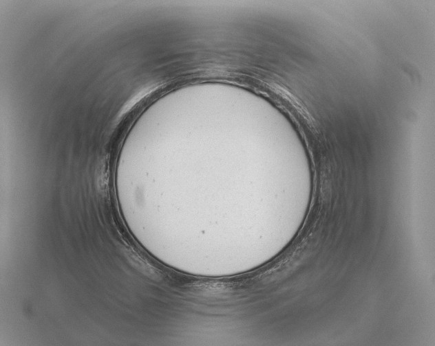 X0000115681450200912101123