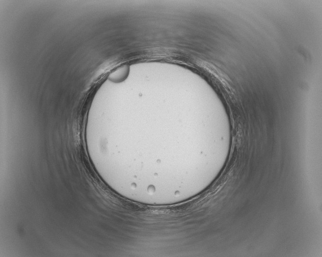 X0000115681451200912101123