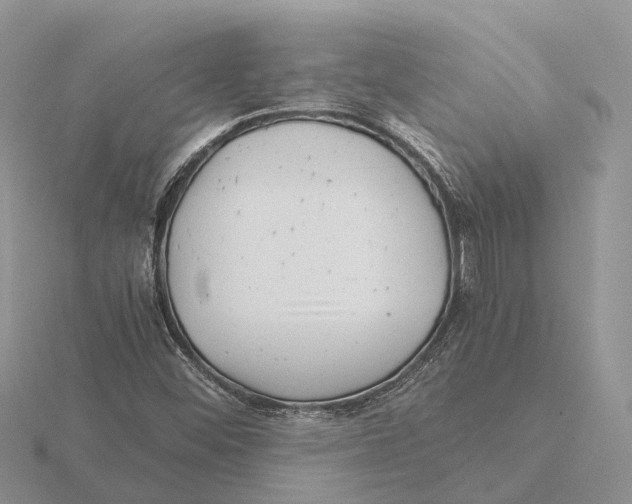 X0000115681452200912101123