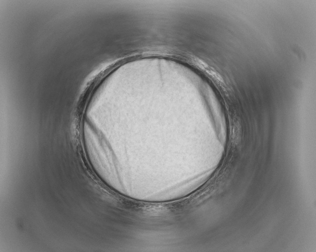 X0000115681454200912101123