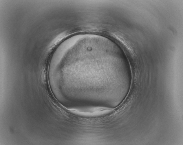 X0000115681455200912101123