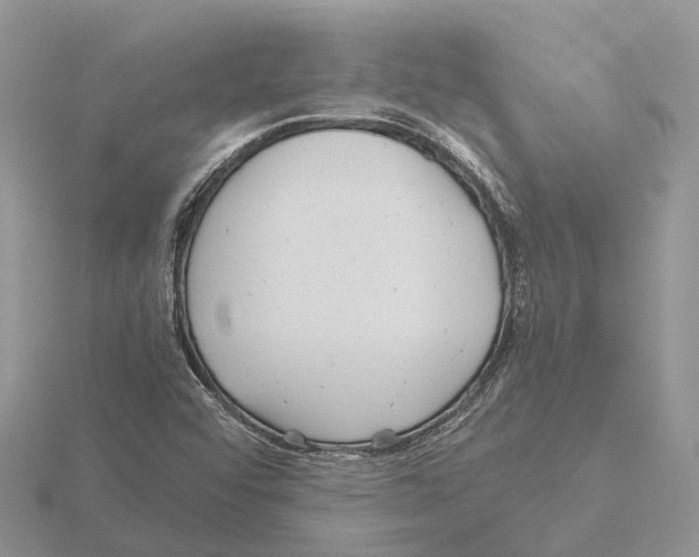 X0000115681456200912101123