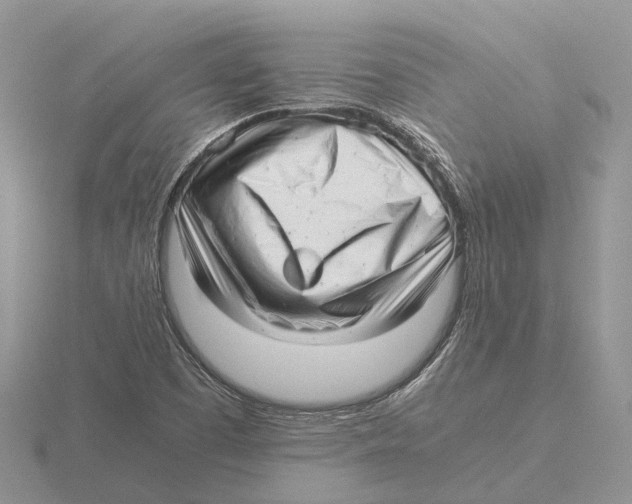 X0000115681457200912101123