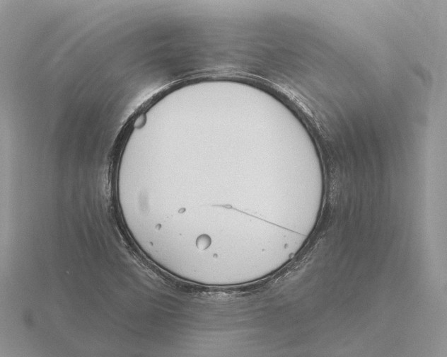 X0000115681458200912101123