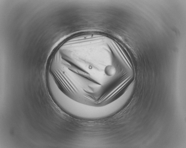 X0000115681460200912101123