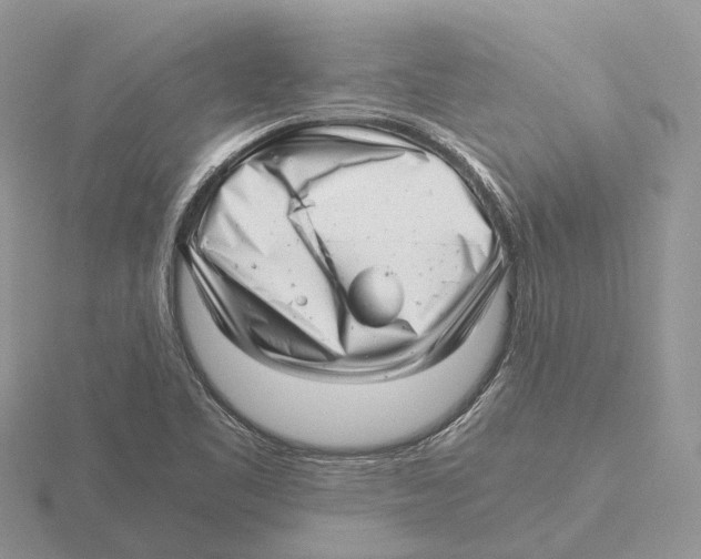 X0000115681461200912101123