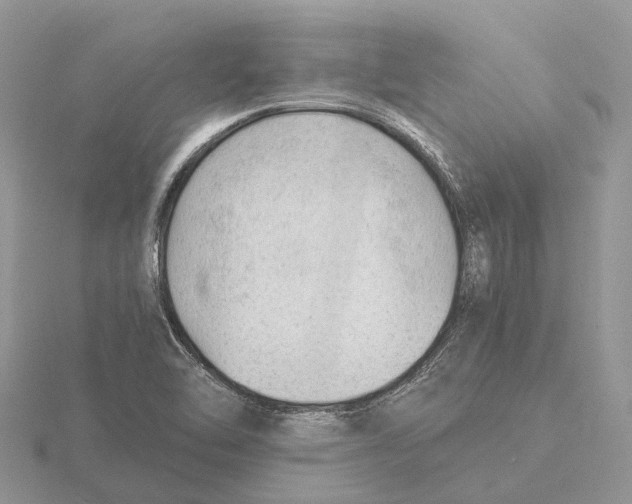 X0000115681462200912101123