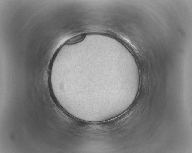 X0000115681463200912101123