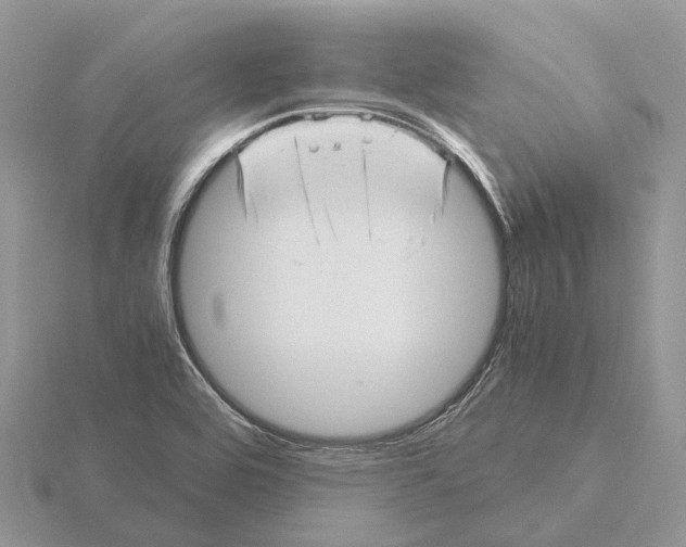 X0000115681464200912101123