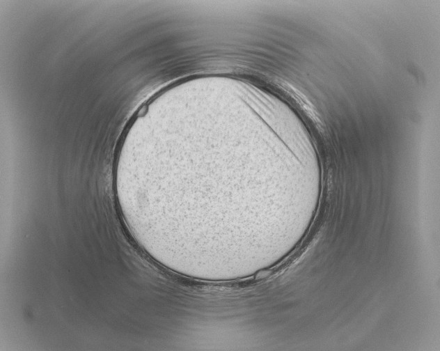 X0000115681465200912101123