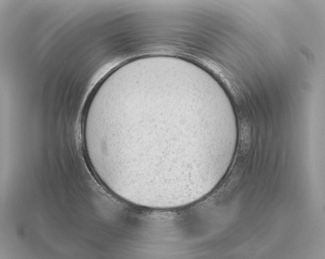 X0000115681466200912101123