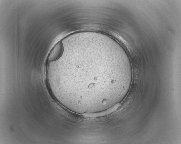 X0000115681467200912101123