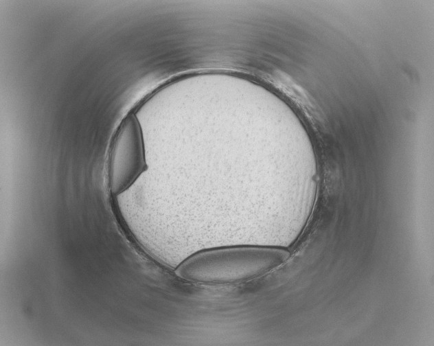 X0000115681469200912101123