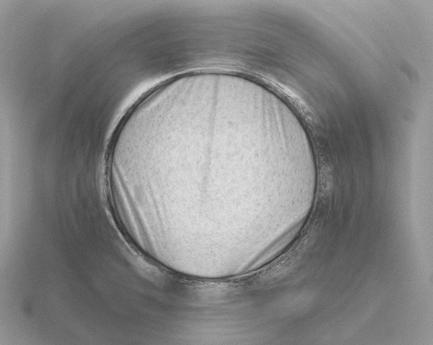 X0000115681470200912101123