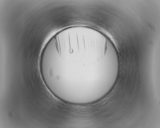 X0000115681472200912101123