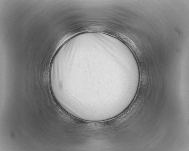 X0000115681473200912101123