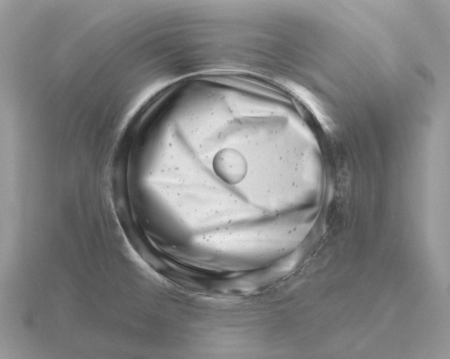 X0000115681476200912101123