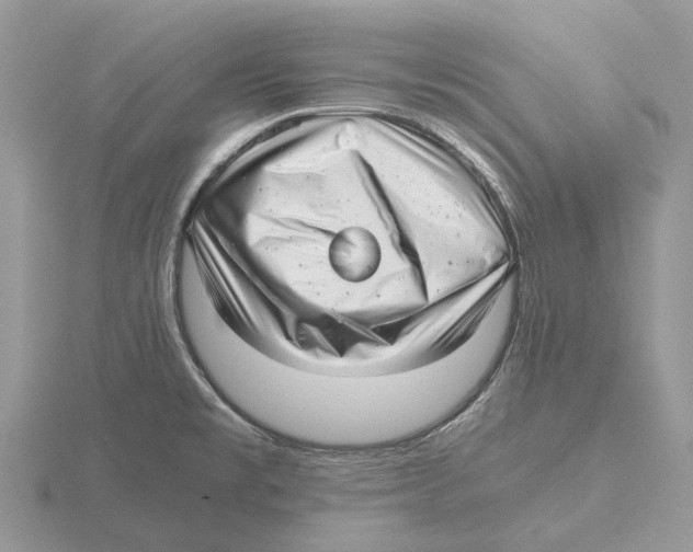 X0000115681477200912101123