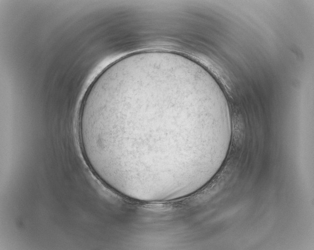 X0000115681478200912101123