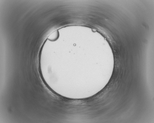 X0000115681479200912101123