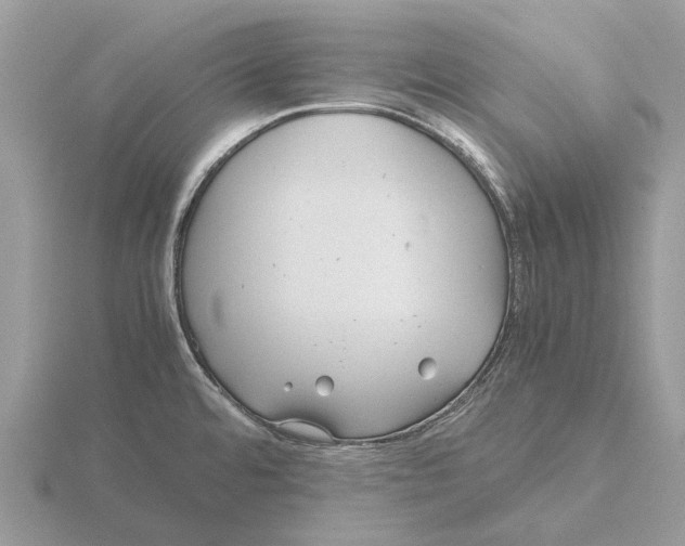 X0000115681480200912101123