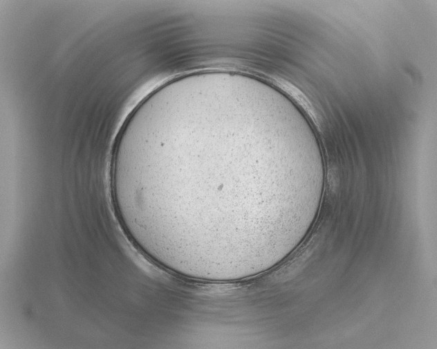 X0000115681482200912101123