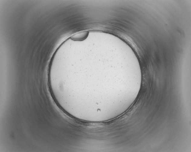 X0000115681483200912101123