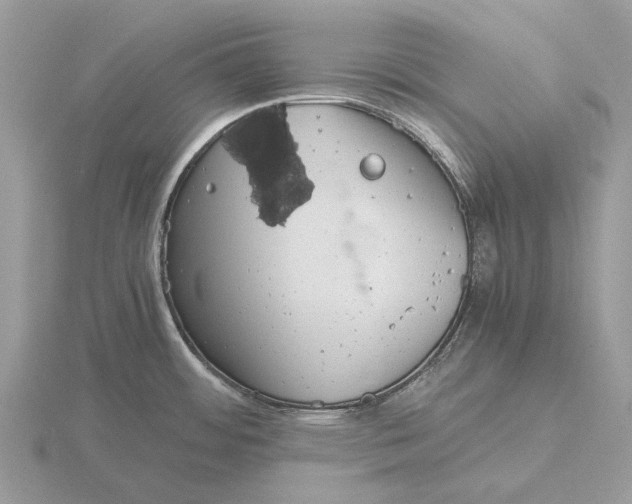 X0000115681484200912101123