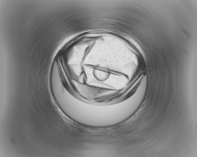 X0000115681485200912101123