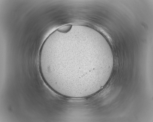 X0000115681487200912101123