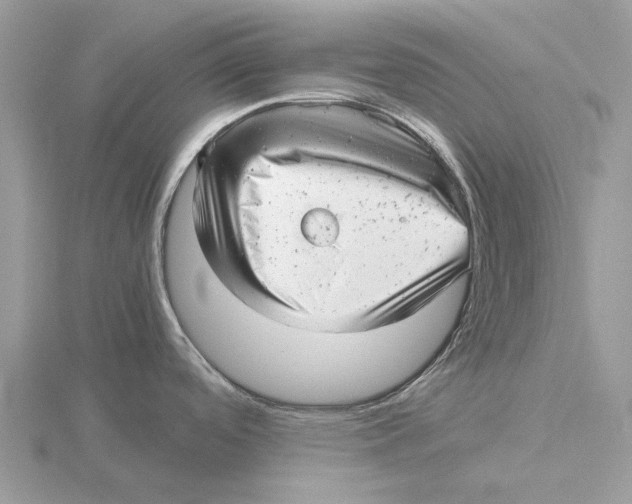 X0000115681488200912101123