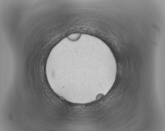 X0000115681489200912101122