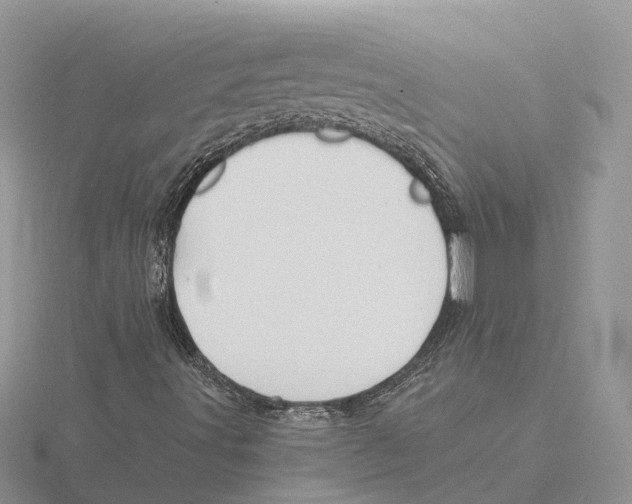 X0000115681491200912101122