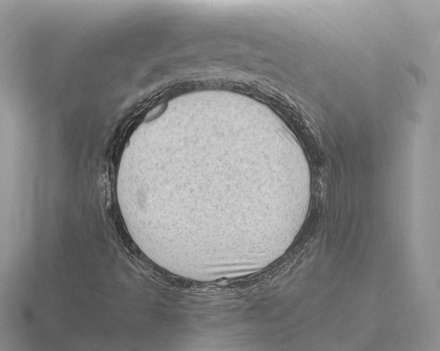 X0000115681493200912101122