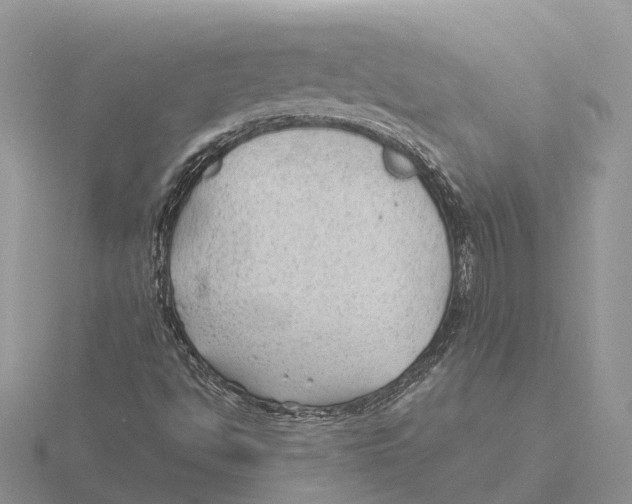 X0000115681494200912101122