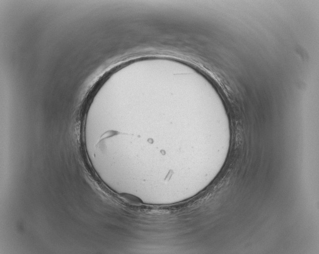 X0000115681503200912101122