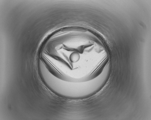 X0000115681506200912101123