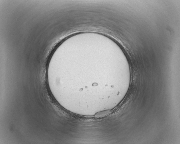 X0000115681507200912101123