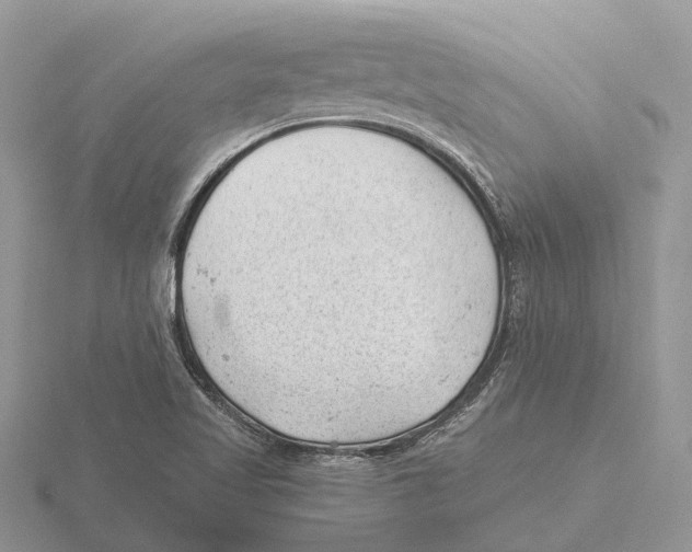 X0000115681509200912101123